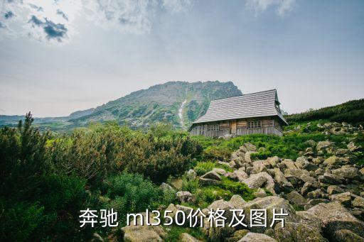  奔驰 ml350价格及图片
