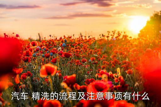 精洗内饰视频教程,汽车保养知多少?问与答（19）