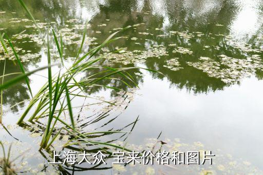 上海大众 宝来价格和图片