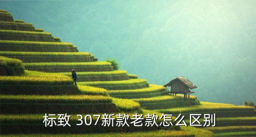  标致 307新款老款怎么区别