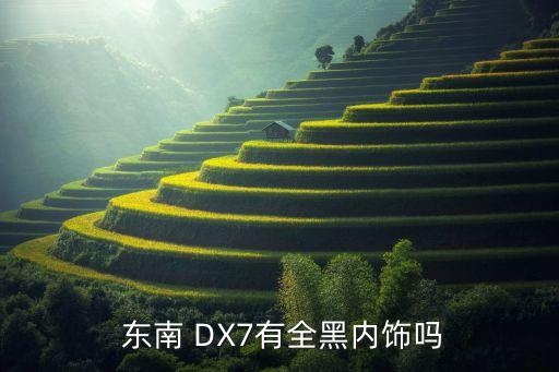  东南 DX7有全黑内饰吗