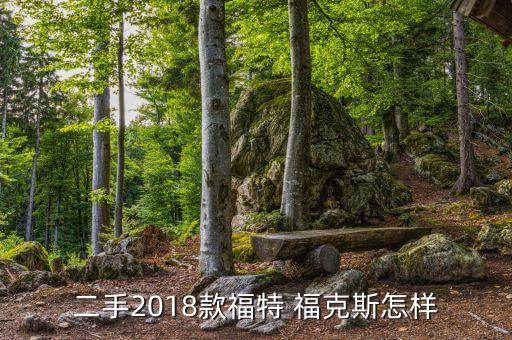 二手2018款福特 福克斯怎样