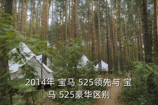 2014年 宝马 525领先与 宝马 525豪华区别