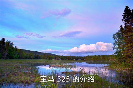  宝马 325i的介绍