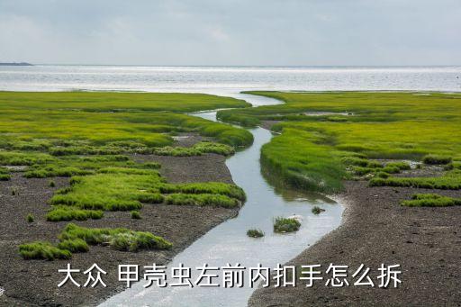 甲壳虫仪表台内饰板怎么拆,拆下右后挡泥板1即可拆下甲壳虫