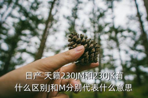 日产 天籁230JM和230JK有什么区别J和M分别代表什么意思