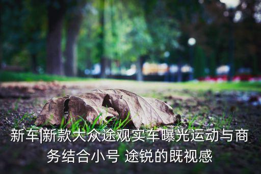 新车|新款大众途观实车曝光运动与商务结合小号 途锐的既视感