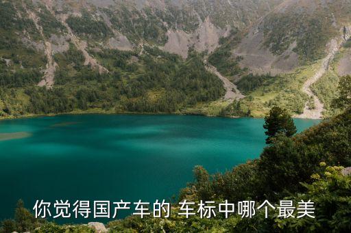 红旗车内饰车标,红旗车标揭晓!原来是这样