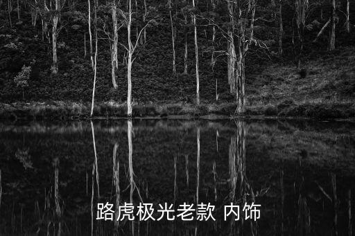 路虎极光老款 内饰