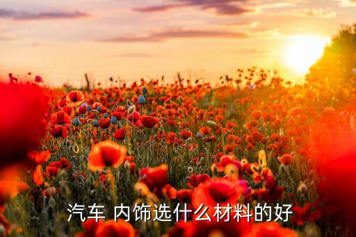  汽车 内饰选什么材料的好