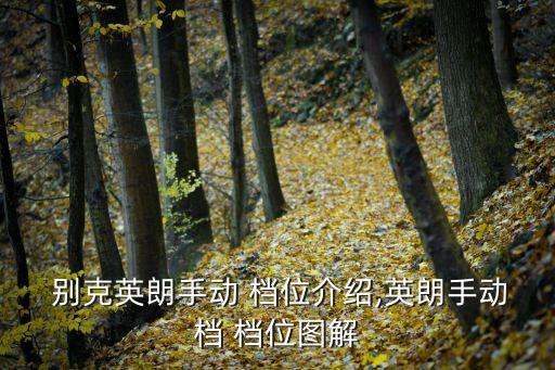 别克内饰图片大全档位,如何使用别克gl8自动换挡?