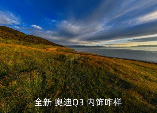 全新 奥迪Q3 内饰咋样