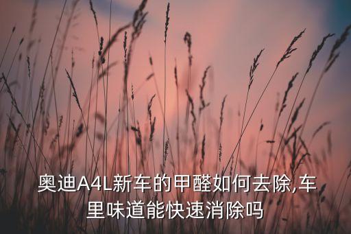  奥迪A4L新车的甲醛如何去除,车里味道能快速消除吗