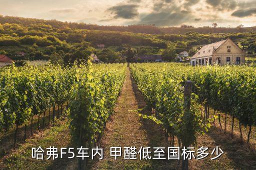 哈弗F5车内 甲醛低至国标多少