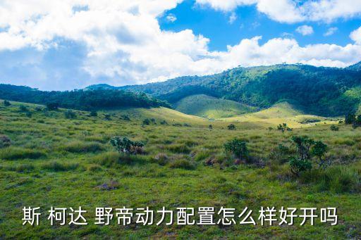 斯 柯达 野帝动力配置怎么样好开吗