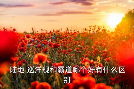  陆地 巡洋舰和霸道哪个好有什么区别