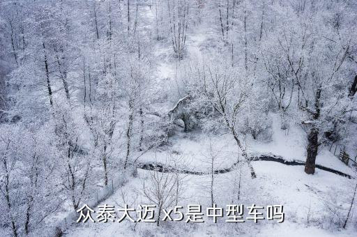  众泰大迈 x5是中型车吗