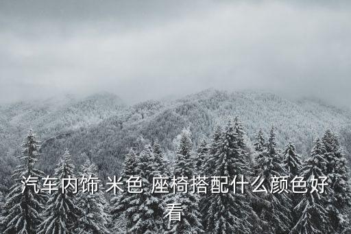 汽车内饰 米色 座椅搭配什么颜色好看