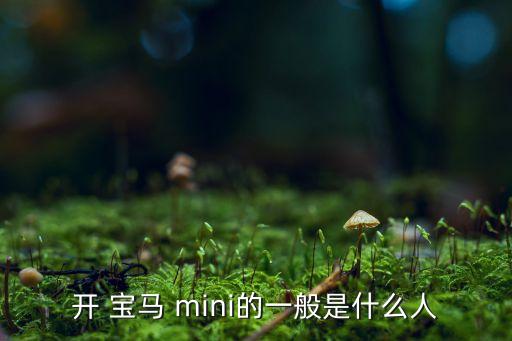 宝马迷你mini内饰图片,回到过去!探险者为何如此疯狂?
