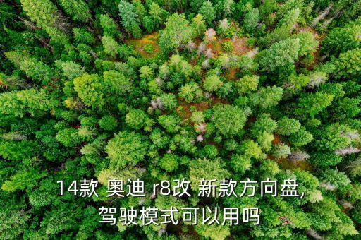 14款 奥迪 r8改 新款方向盘,驾驶模式可以用吗