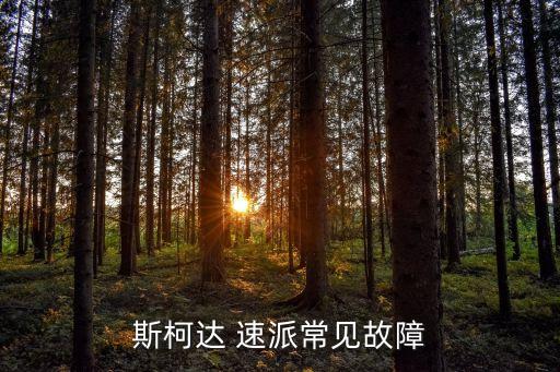 速派全黑内饰,柯尼斯柯达速派优点:在家冷静实用