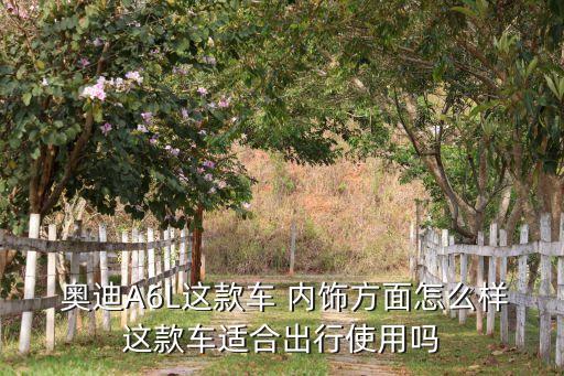  奥迪A6L这款车 内饰方面怎么样这款车适合出行使用吗