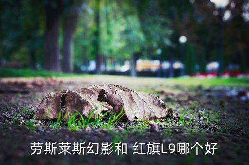 红旗l9的内饰,国庆阅兵车型红旗l9车头设计挂国旗杆