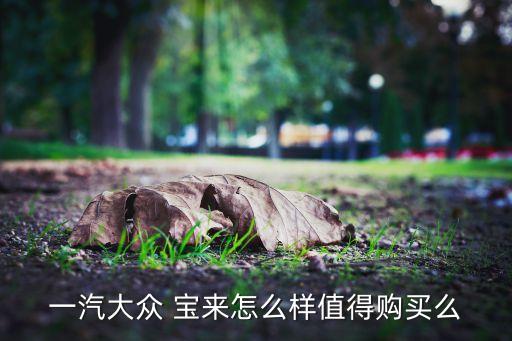 一汽大众 宝来怎么样值得购买么