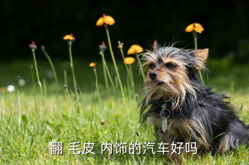 翻 毛皮 内饰的汽车好吗