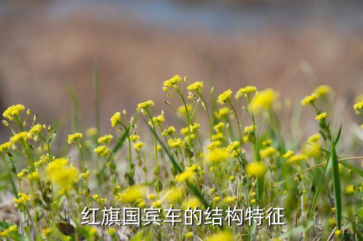  红旗国宾车的结构特征