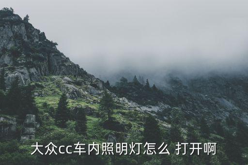 大众cc车内照明灯怎么 打开啊