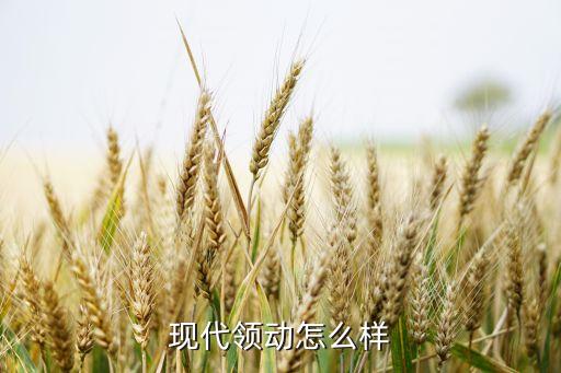 现代领动怎么样