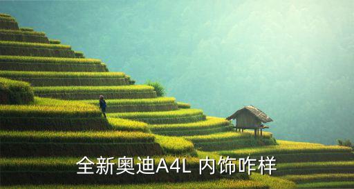 全新奥迪A4L 内饰咋样
