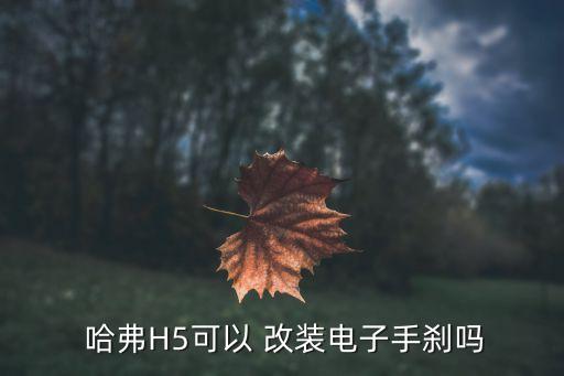  哈弗H5可以 改装电子手刹吗