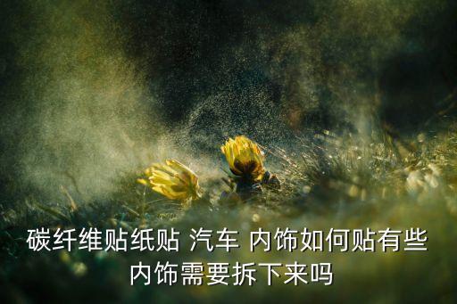 汽车内饰贴纸什么样好,汽车贴膜保护视力不受伤害