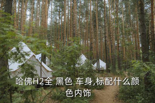 黑色车身配什么色内饰,哈佛quan黑色车身标准为灰色色内饰