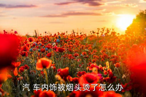 汽 车内饰被烟头烫了怎么办
