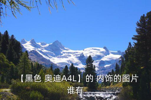 【黑色 奥迪A4L】的 内饰的图片谁有