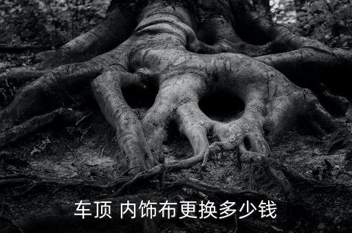 车顶棚内饰厚度,汽车内顶如何改装?!