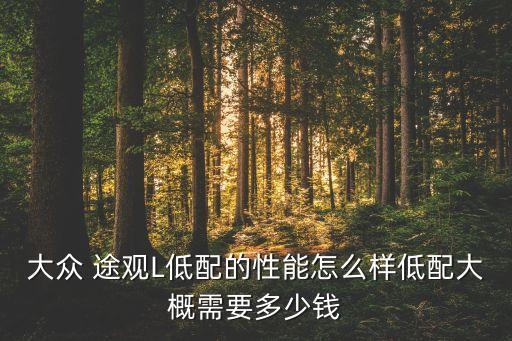 途观风尚版内饰图片,途观这款车在二手车市场性价比不高!