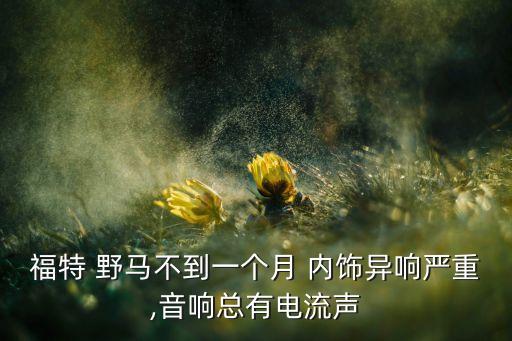 美规野马内饰,中国标准野马中控台标配出风口统一作为中国版本
