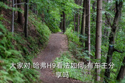 哈弗h9改款内饰,哈弗h9改款车型配置上有质的提升