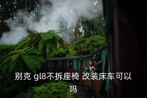 09年的gl8内饰改装,改装汽车内饰注意事项