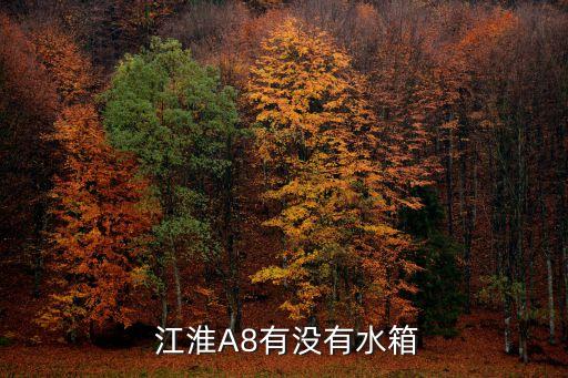  江淮A8有没有水箱