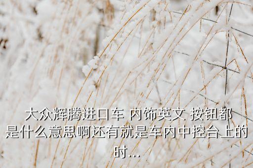  大众辉腾进口车 内饰英文 按钮都是什么意思啊还有就是车内中控台上的时...