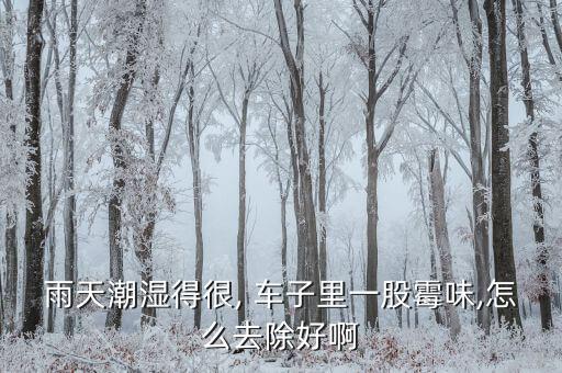 雨天潮湿得很, 车子里一股霉味,怎么去除好啊