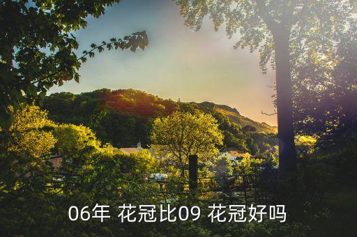 06年 花冠比09 花冠好吗