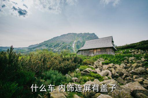 什么车的内饰中间大屏幕,中控台采用柔性材料包裹和钢琴烤漆
