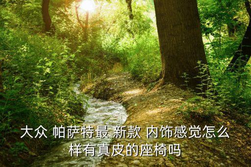 大众 帕萨特最 新款 内饰感觉怎么样有真皮的座椅吗