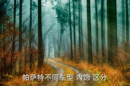 帕萨特不同车型 内饰 区分